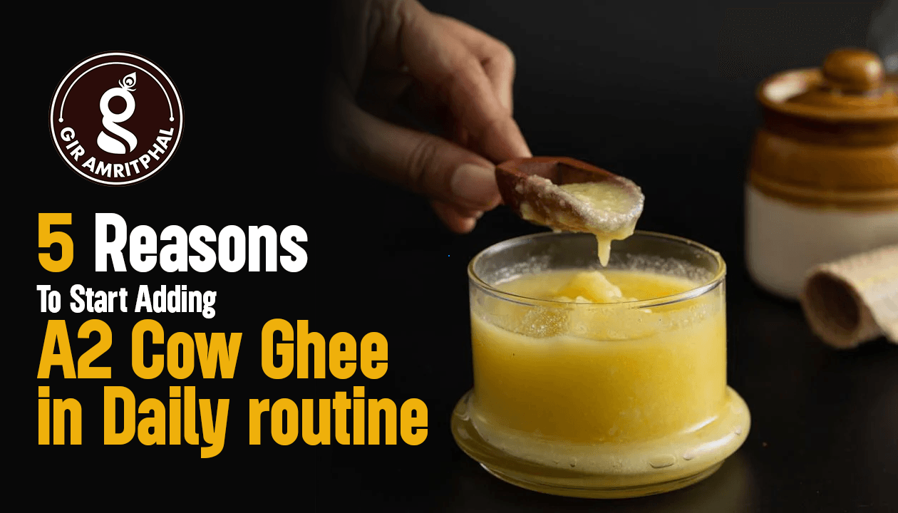 A2 Cow Ghee into your daily routine