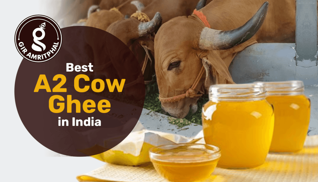 Best A2 Cow Ghee in India