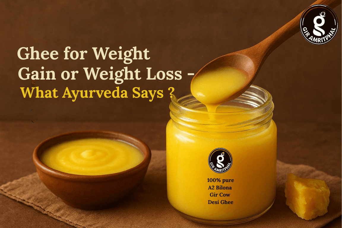 Ghee for Weight Gain or Weight Loss – What Ayurveda Says
