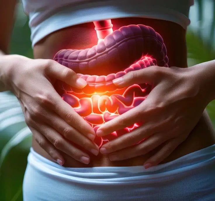 Slow Digestion